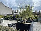Serviced Offices Upper St Martin's Lane Covent Garden WC2H  2693-11.jpg
